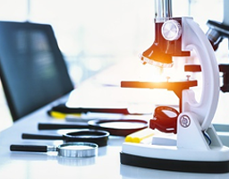 수정 가능한 이미지