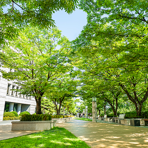 연구하는 대학, 혁신하는 지성