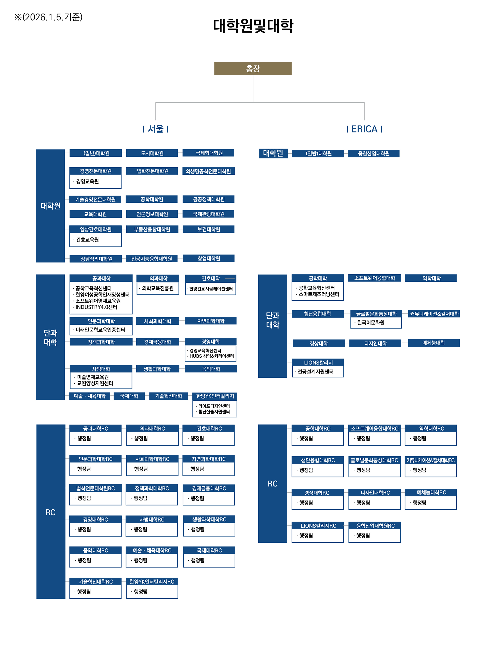 대학원 및 대학