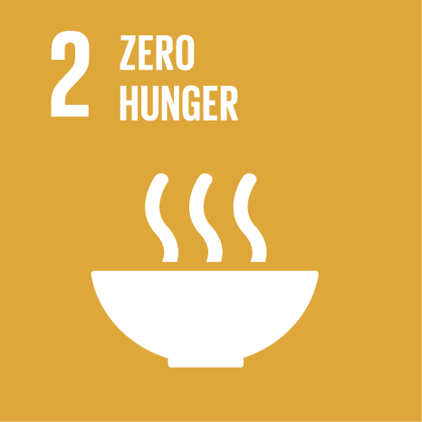 sdg 2