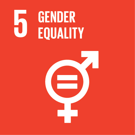 sdg 5