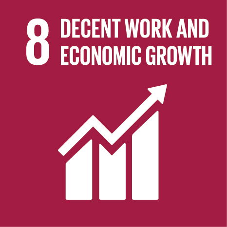 sdg 8