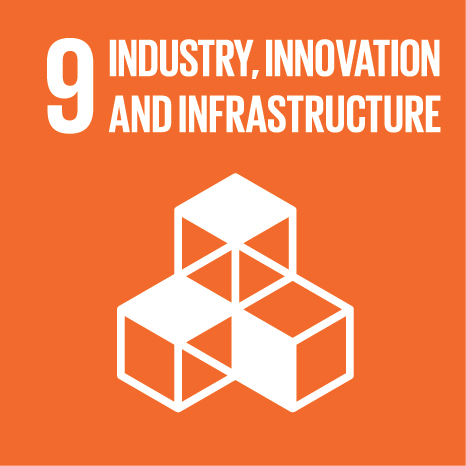 sdg 9