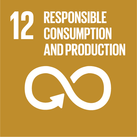 sdg 12