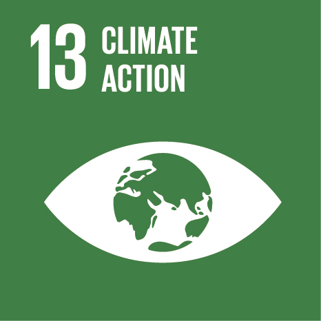 sdg 13