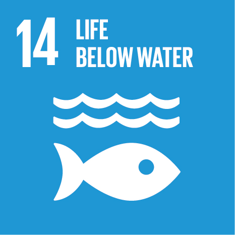 sdg 14