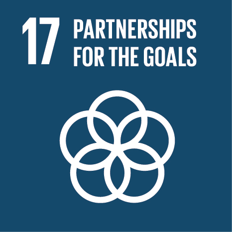 sdg 17