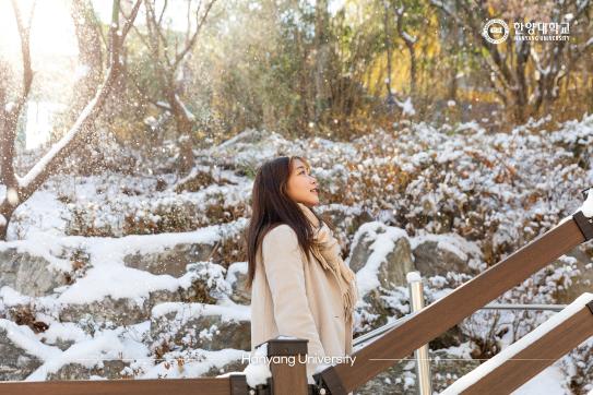 겨울빛으로 물든 한양대학교
