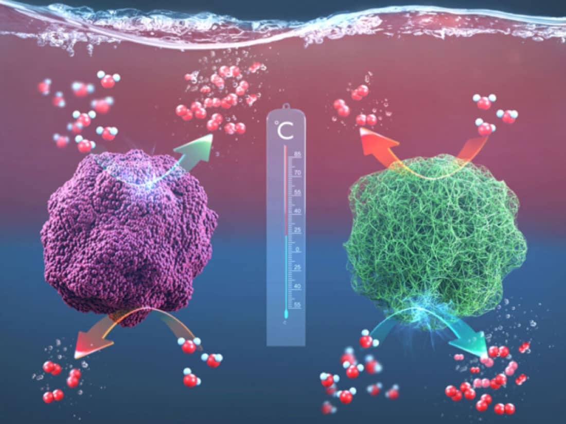 Reassessing the Effects of Iron Incorporation: New Breakthrough in Hydrogen Production Catalyst Technology